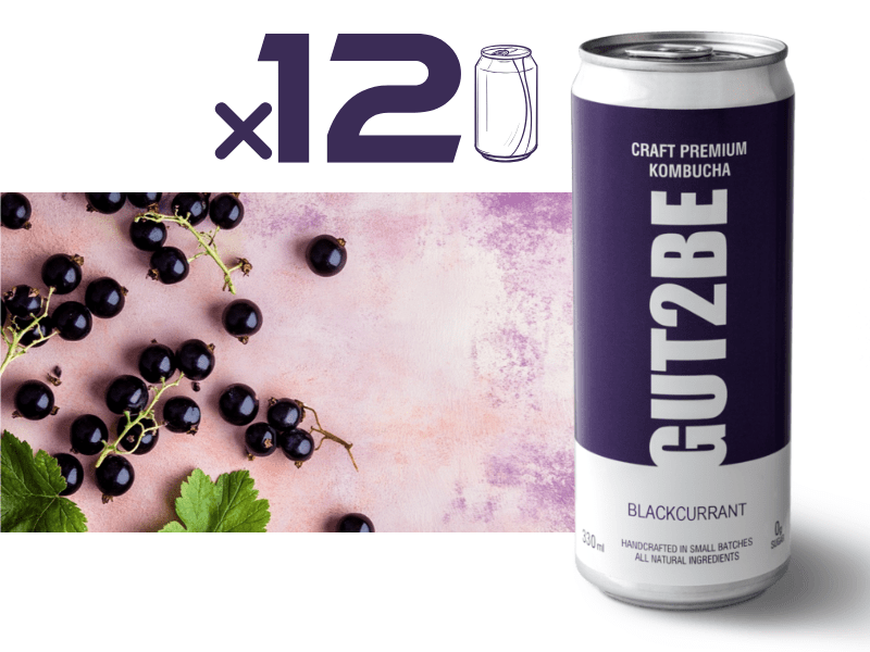 Kombucha fekete ribizlivel - 12x330ml - es készlet - GUT2BE HungaryGut2beGUT2BE Hungary