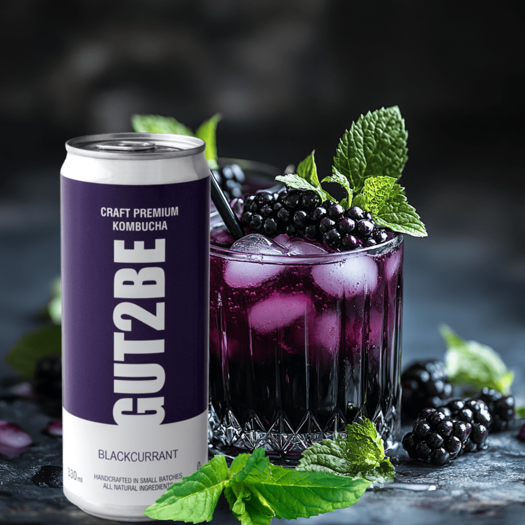Kombucha fekete ribizlivel - 24x330 ml - es készlet - GUT2BE HungaryGut2beGUT2BE Hungary