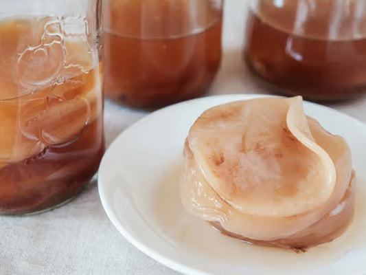 A leggyakoribb hibák kombucha készítés közben (és hogyan kerüld el őket) - GUT2BE Hungary