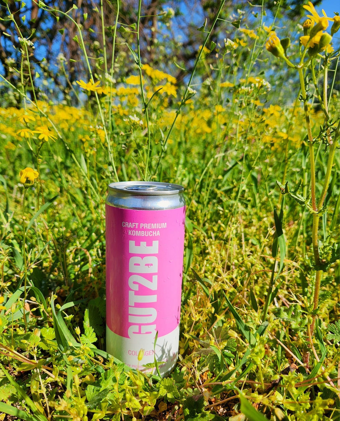Bemutatkozik - GUT2BE kombucha kollagénnel - GUT2BE Hungary