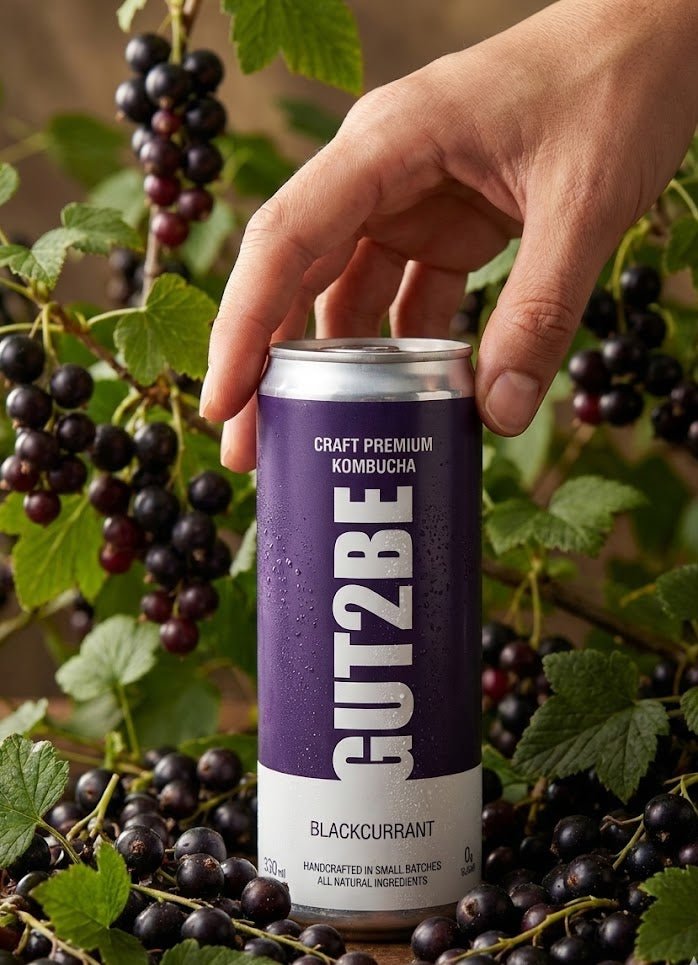 Kombucha fekete ribizlivel - 12x330ml - es készlet - GUT2BE HungaryGut2beGUT2BE Hungary