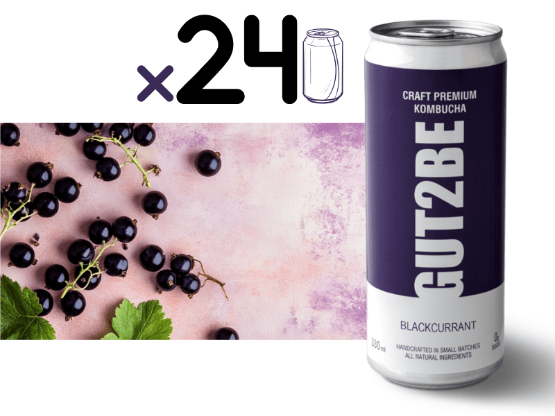Kombucha fekete ribizlivel - 24x330 ml - es készlet - GUT2BE HungaryGut2beGUT2BE Hungary