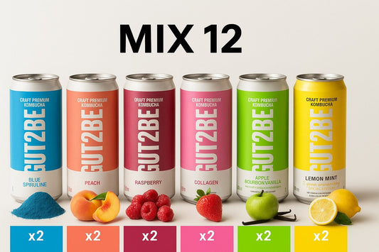 Kombucha Mix - 12x330 ml - es készlet - GUT2BE HungaryGut2beGUT2BE Hungary