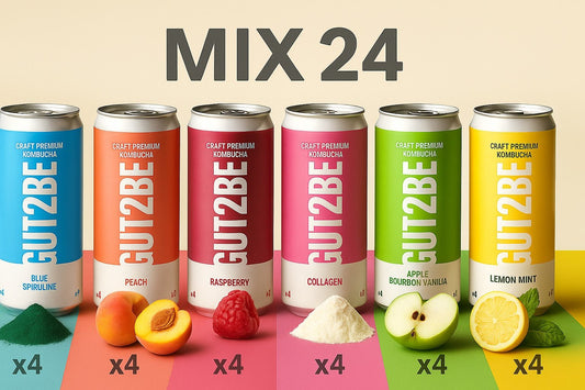 Kombucha Mix - 24x330 ml - es készlet - GUT2BE HungaryGut2beGUT2BE Hungary